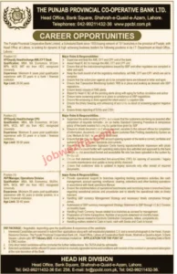 PPCBL Jobs 2023 Advertisement Punjab Provincial Cooperative Bank LTD