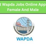 Water and Power Development Authority (Wapda)